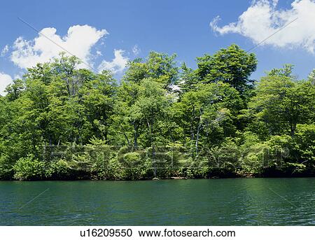 Stock Image - "Forest and Pond, Nagano, Japan". Fotosearch