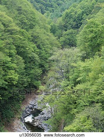 Stock Photography - "Green Valley, Fukushima, Japan". Fotosearch