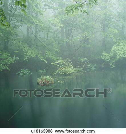 Stock Photo - "Visionary Pond and Woods, Aomori, Japan". Fotosearch
