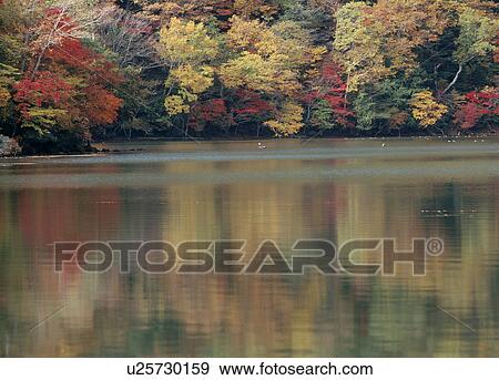 Stock Photo - "Autumn Leaves And Lake, Tochigi, Japan". Fotosearch