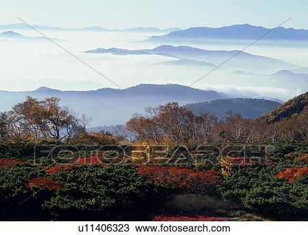 Stock Image - "Autumn Leaves And Mountain, Nagano, Japan". Fotosearch
