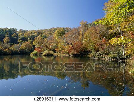 Stock Image - "Autumn Leaves And Pond, Nagano, Japan". Fotosearch