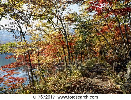 Stock Photo - "Autumn Leaves And Pond, Nagano, Japan". Fotosearch
