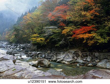 "Autumn Leaves And River, Nara, Japan" View Large Photo Image Stock Image - "Autumn Leaves And River, Nara, Japan". Fotosearch