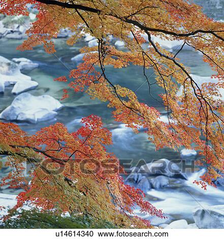 Stock Image - "Autumn Leaves And Water, Okayama, Japan". Fotosearch