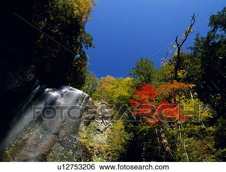 Stock Photograph - "Autumn Leaves And Waterfall, Nagano, Japan". Fotosearch