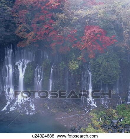 Stock Photo - "Autumn Leaves And Waterfall, Shizuoka, Japan". Fotosearch