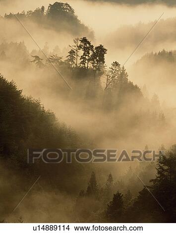 Picture - "Morning Glow And Mountains, Nara, Japan". Fotosearch