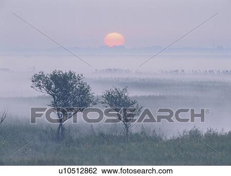 "Morning Glow, Tochigi, Japan" View Large Photo Image Stock Image - "Morning Glow, Tochigi, Japan". Fotosearch