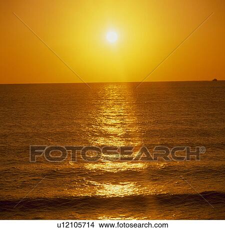 Picture - "Morning Sun, Ibaraki, Japan". Fotosearch