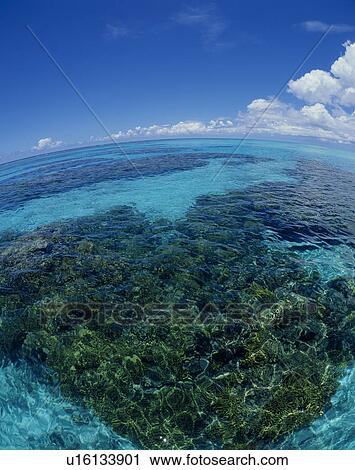 "Seascape, Okinawa, Japan" View Large Photo Image Stock Image - "Seascape, Okinawa, Japan". Fotosearch