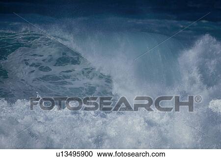 Stock Image - "Wave Splash, Hawaii, U. S. A. ". Fotosearch