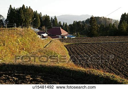 "Autumn Field, Nagano, Japan" View Large Photo Image Stock Image - "Autumn Field, Nagano, Japan". Fotosearch