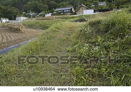 "Folk Dwelling In Countryside, Nagano, Japan" View Large Photo Image Picture - "Folk Dwelling In Countryside, Nagano, Japan". Fotosearch