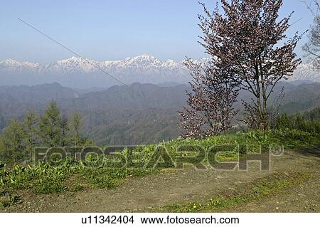"Landscape From Hill, Nagano, Japan" View Large Photo Image Picture - "Landscape From Hill, Nagano, Japan". Fotosearch