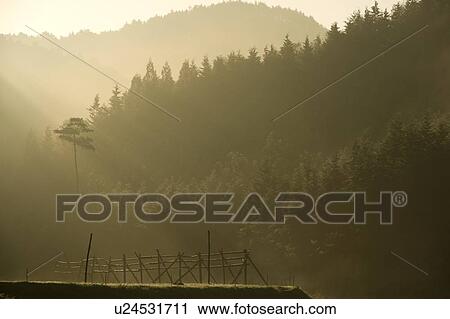 Stock Image - "Morning Sun, Nagano, Japan". Fotosearch