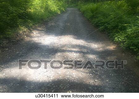 Stock Image - "Path In Countryside, Nagano, Japan". Fotosearch