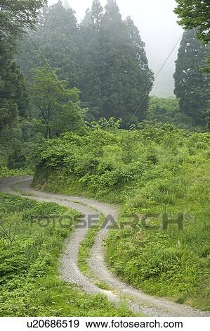 Stock Photo - "Path In Countryside, Nagano, Japan". Fotosearch