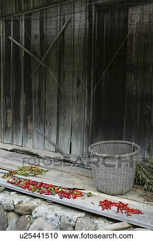 "Red pepper Drying, Nagano, Japan" View Large Photo Image Stock Image - "Red pepper Drying, Nagano, Japan". Fotosearch