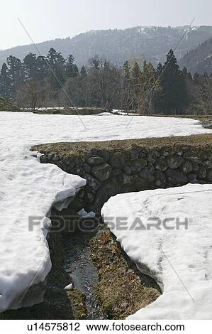 Stock Image - "Remaining Snow On Field, Nagano, Japan". Fotosearch