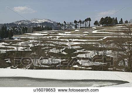 "Remaining Snow On Hill, Nagano, Japan" View Large Photo Image Stock Image - "Remaining Snow On Hill, Nagano, Japan". Fotosearch