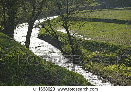 Stock Image - "Rice Field And River, Nagano, Japan". Fotosearch