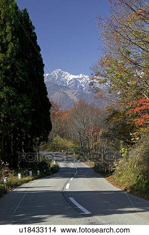 Picture - "Road Among Woods, Nagano, Japan". Fotosearch