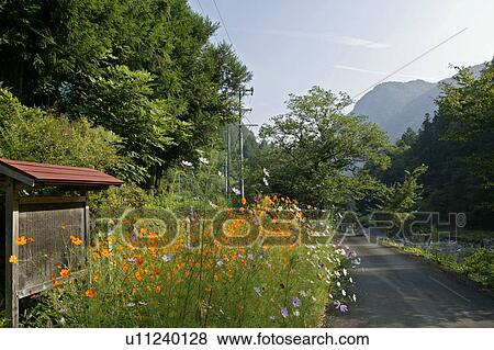 Stock Photo - "Road Of Countryside, Nagano, Japan". Fotosearch