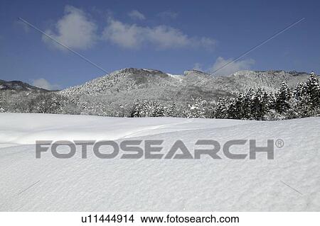 Picture - "Snowscape, Nagano, Japan". Fotosearch