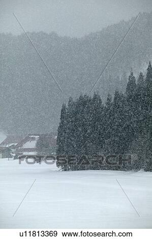 Stock Photo - "Snowscape, Nagano, Japan". Fotosearch