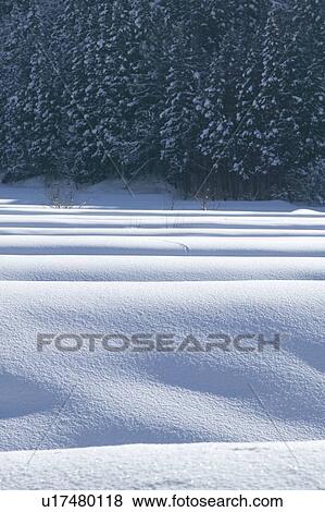 "Snowscape, Nagano, Japan" View Large Photo Image Stock Photo - "Snowscape, Nagano, Japan". Fotosearch