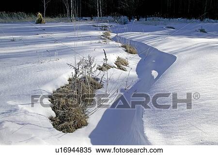 Stock Photography - "Snowscape, Nagano, Japan". Fotosearch