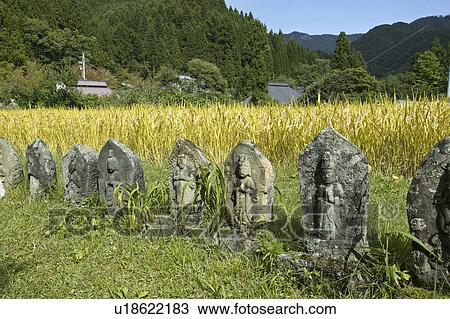 "Stone Statue Of Jizo In Rice Field, Nagano, Japan" View Large Photo Image Stock Image - "Stone Statue Of Jizo In Rice Field, Nagano, Japan". Fotosearch