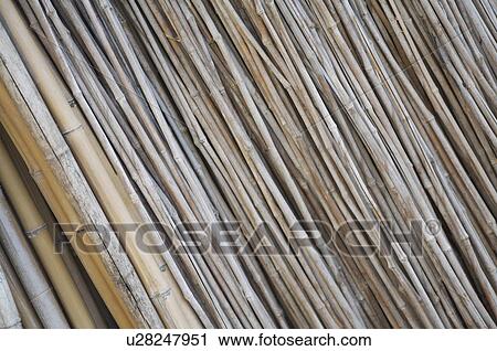 Bamboo Pole View Large Photo Image Stock Image - Bamboo Pole. Fotosearch