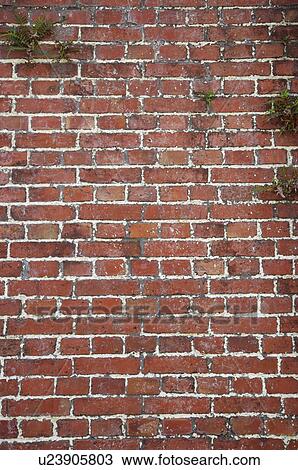 Stock Image - Brick Wall. Fotosearch