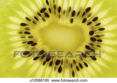 Kiwi, Close-Up View Large Photo Image Stock Photography - Kiwi, Close-Up. Fotosearch