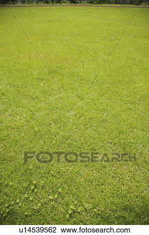 Lawn View Large Photo Image Stock Image - Lawn. Fotosearch