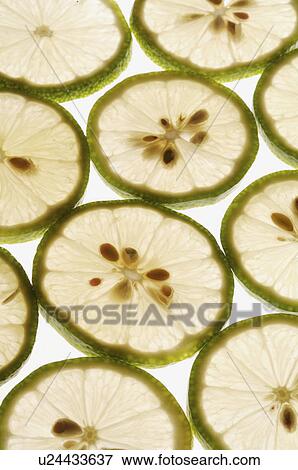 Stock Photo - Lemon. Fotosearch