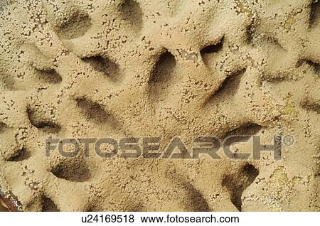 Mold, extreme close up View Large Photo Image Stock Photo - Mold, extreme close up. Fotosearch