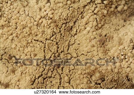 Mold View Large Photo Image Picture - Mold. Fotosearch