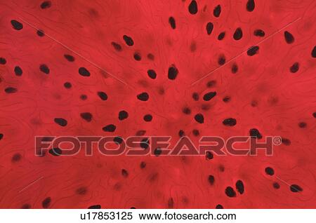 Stock Photography - Pitaya, full frame. Fotosearch