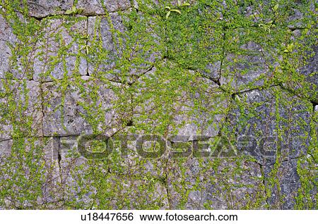 Wall View Large Photo Image Stock Photograph - Wall. Fotosearch