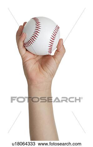 Human hand holding a baseball. View Large Photo Image Stock Image - Human hand holding a baseball.. Fotosearch