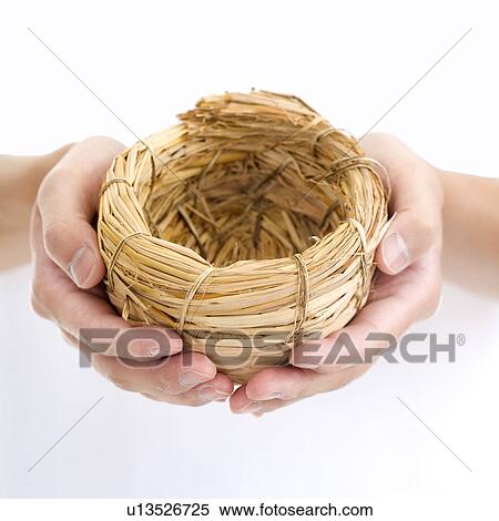 Human hands holding a bird's nest View Large Photo Image Stock Photography - Human hands holding a bird's nest. Fotosearch