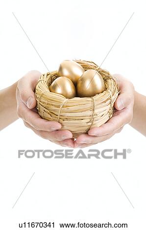 Human hands holding a nest of golden eggs View Large Photo Image Stock Image - Human hands holding a nest of golden eggs. Fotosearch