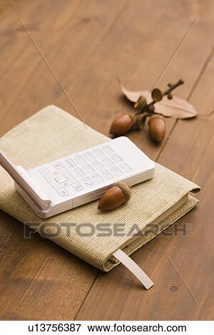 Book and Acorn View Large Photo Image Stock Photo - Book and Acorn. Fotosearch