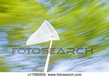Butterfly Net View Large Photo Image Stock Photography - Butterfly Net. Fotosearch