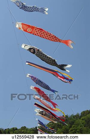 Stock Photo - Carp Streamers. Fotosearch