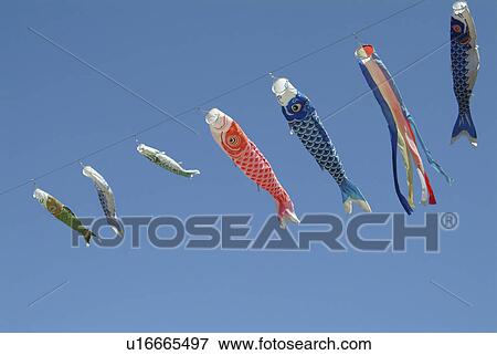 Stock Photo - Carp Streamers. Fotosearch