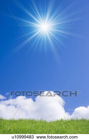 Stock Image - Summer Grass and Blue Sky. Fotosearch